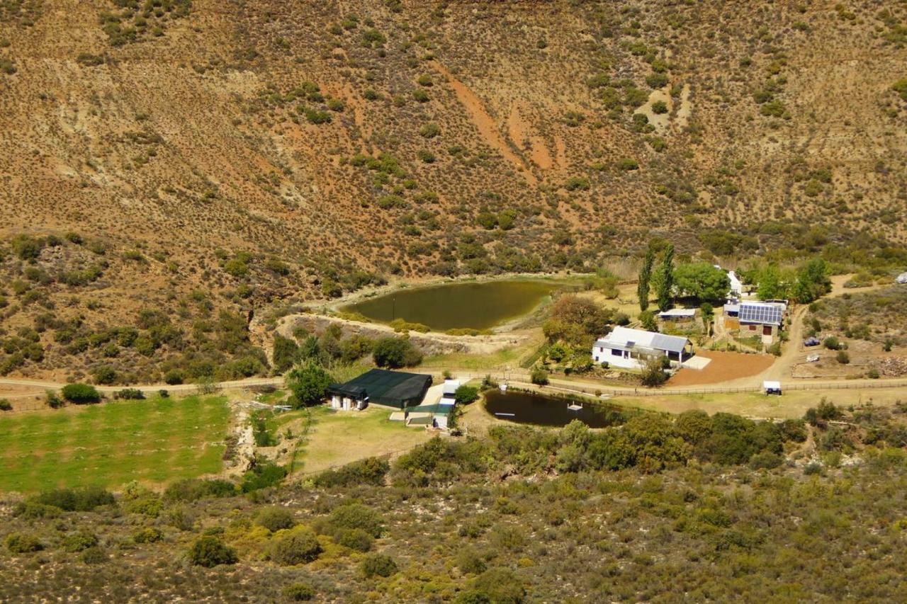 Kingfisher Cottages, Langhoogte Farm 蒙塔古 外观 照片